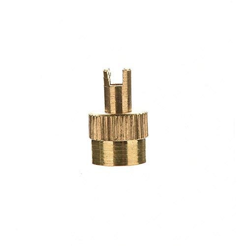 CosCosX 100 Pcs Metal Slotted Slot Valve Caps with Valve Core Remover Tire Valve Air Dust Cover Stem Cap Tyre Valve Caps Universal Tire Stem Covers for Cars Trucks Motorcycle Bicycle Tire Dust Cap - Image 3
